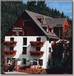 Landhotel Osterlamm Gruenhain-Beierfeld Luaran gambar
